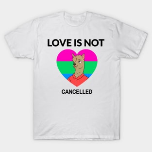 Love Is Not Cancelled T-Shirt